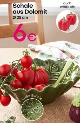 PEPCO Schale aus Dolomit Angebot
