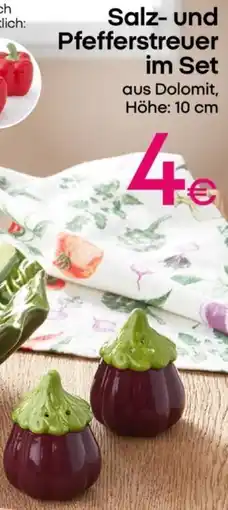 PEPCO Salz- und Pfefferstreuer im Set Angebot