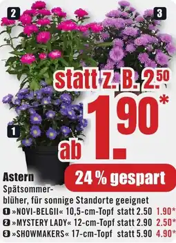 B1 Discount Baumarkt Astern Angebot