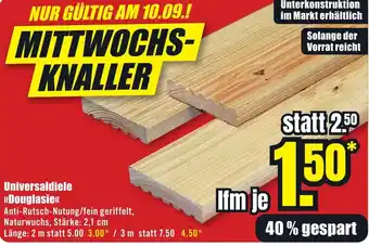 B1 Discount Baumarkt Universaldiele Douglasie Angebot