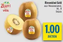 diska Zespri Riesenkiwi Gold Angebot