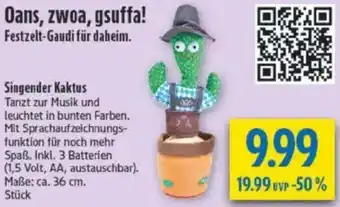 diska Singender Kaktus Angebot