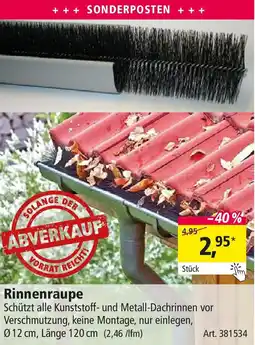 Holz Possling Rinnenraupe Angebot