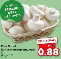 Kaufland Poln./ kroat. Kulturchampignons, weiß Angebot