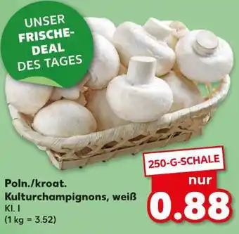 Kaufland Poln./ kroat. Kulturchampignons, weiß Angebot