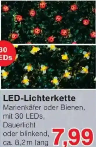 Jawoll LED-Lichterkette Angebot