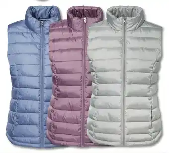 Woolworth Damen-Weste Angebot
