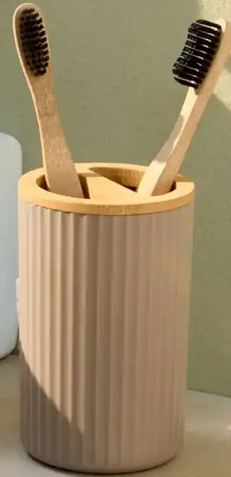 Woolworth Zahnbürstenhalter Angebot