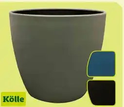 Pflanzen Kölle Kölle Pflanzgefäß Alisa Angebot