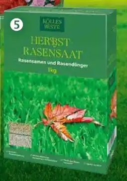 Pflanzen Kölle Kölle's Beste Herbst-Rasensaat Angebot
