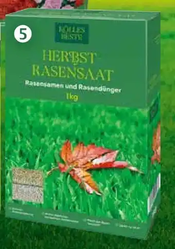 Pflanzen Kölle Kölle's Beste Herbst-Rasensaat Angebot