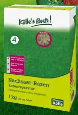 Pflanzen Kölle Kölle's Beste Rasen-Nachsaat Angebot