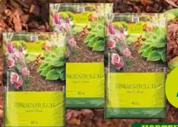 Pflanzen Kölle Kölle's Beste Rindenmulch Angebot