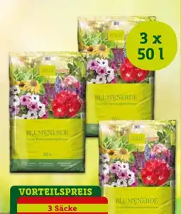 Pflanzen Kölle Kölle Blumenerde Angebot