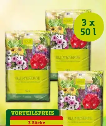 Pflanzen Kölle Kölle Blumenerde Angebot