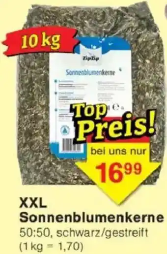 Jawoll XXL Sonnenblumenkerne Angebot