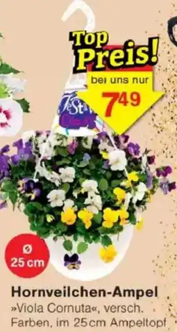 Jawoll Hornveilchen-Ampel Angebot