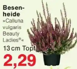 Jawoll Besenheide Angebot