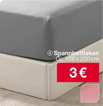 Woolworth Spannbettlaken Angebot