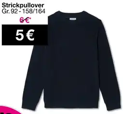 Woolworth Strickpullover Angebot