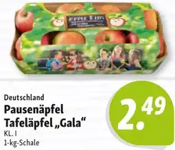 Nah & Frisch Pausenäpfel Tafeläpfel „Gala“ Angebot