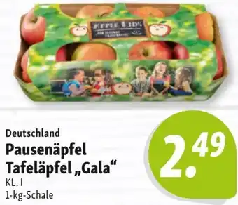Nah & Frisch Pausenäpfel Tafeläpfel „Gala“ Angebot