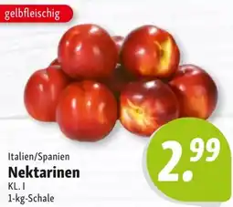 Nah & Frisch Nektarinen Angebot