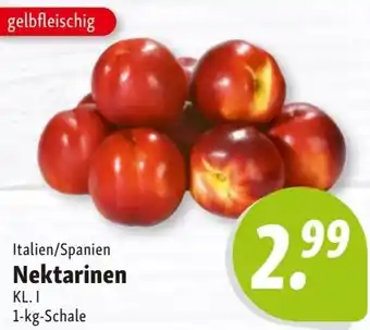 Nah & Frisch Nektarinen Angebot