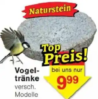 Jawoll Vogeltränke Angebot
