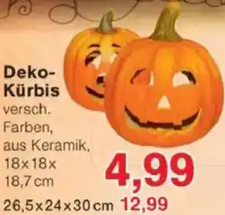 Jawoll Deko Kürbis Angebot