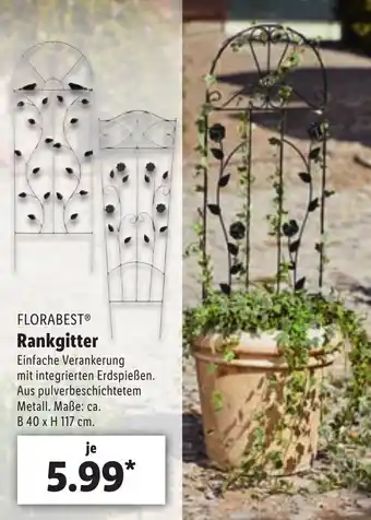 Lidl Florabest Rankgitter Angebot