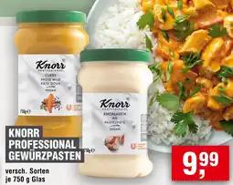Handelshof KNORR PROFESSIONAL GEWÜRZPASTEN Angebot