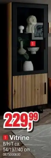 Möbelfundgrube Vitrine Angebot