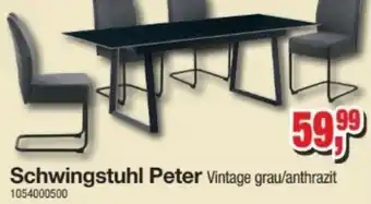 Möbelfundgrube Schwingstuhl Peter Angebot
