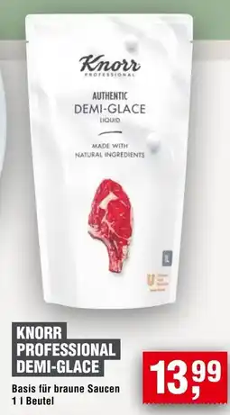 Handelshof KNORR PROFESSIONAL DEMI-GLACE Angebot