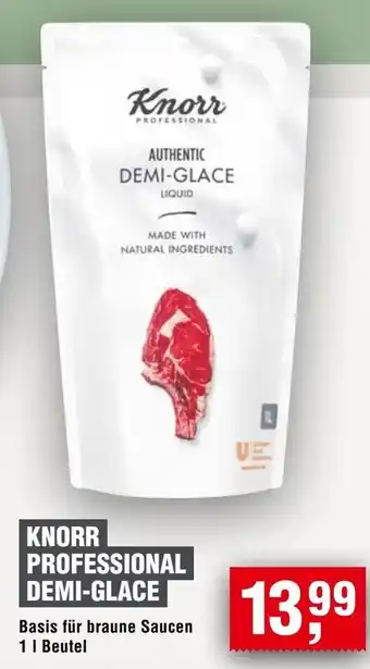 Handelshof KNORR PROFESSIONAL DEMI-GLACE Angebot