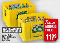 Handelshof SAN PELLEGRINO MINERALWASSER Angebot