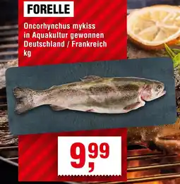 Handelshof FORELLE Angebot