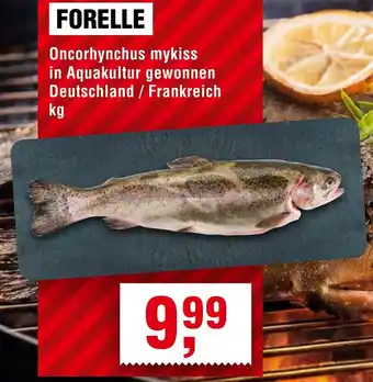 Handelshof FORELLE Angebot