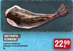 Handelshof SEETEUFEL- SCHWANZ Angebot