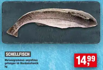 Handelshof SCHELLFISCH Angebot