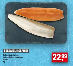 Handelshof SEESAIBLINGSFILET Angebot