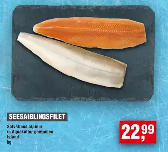 Handelshof SEESAIBLINGSFILET Angebot
