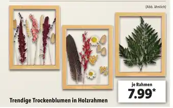 Lidl Trendige Trockenblumen in Holzrahmen Angebot