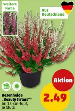 PENNY Besenheide ,,Beauty Sisters" Angebot