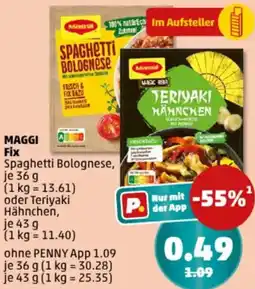 PENNY MAGGI Fix Angebot