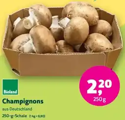 Biomarkt Champignons Angebot