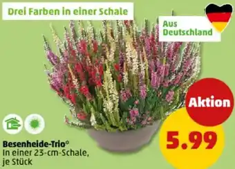 PENNY Besenheide-Trio Angebot