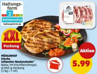 PENNY MÜHLENHOF Frische Schweine-Nackensteaks Angebot