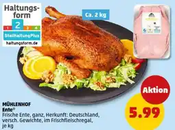 PENNY MÜHLENHOF Ente Angebot